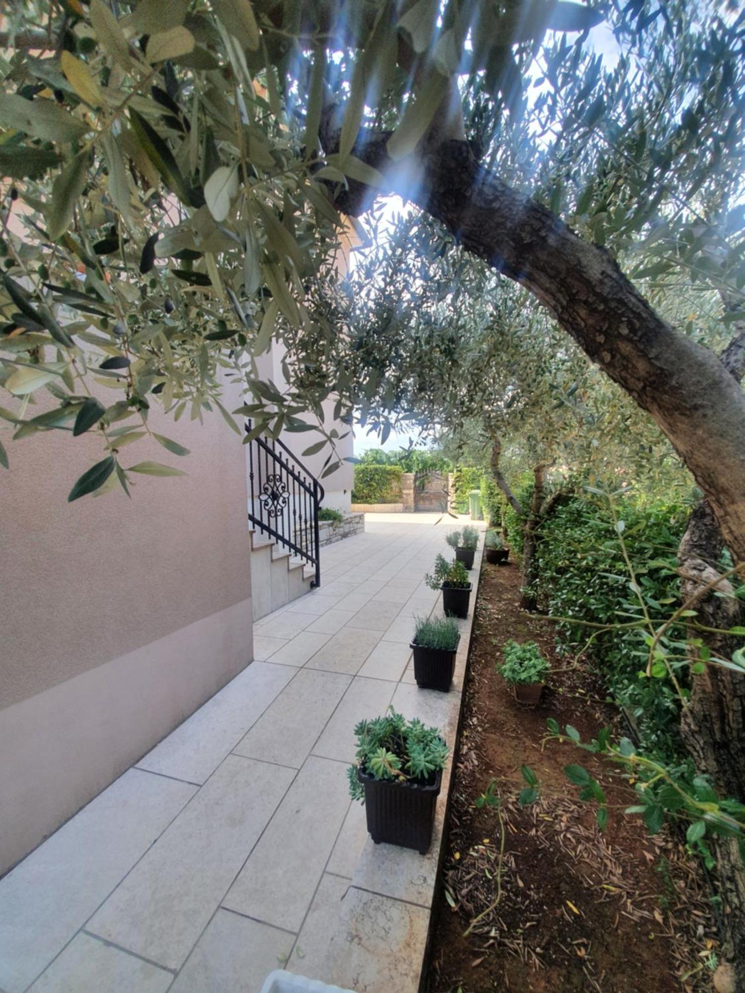 Apartment And Room Marlen Rovinjsko Selo Exterior foto